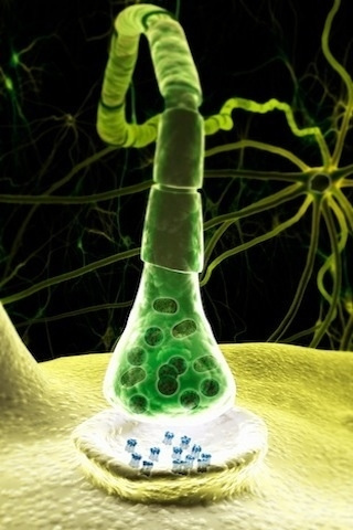 ��̾������ҽѧ3D������ͼ ����ͼƬ