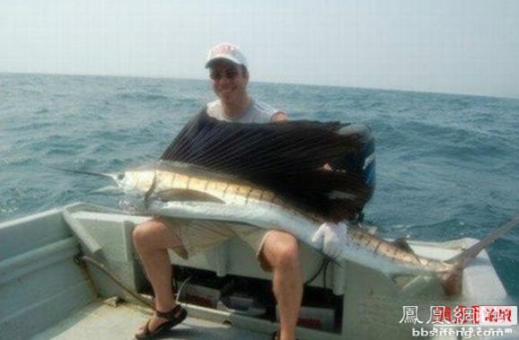 �����𾪵ľ������� �����������Ȥͼ��