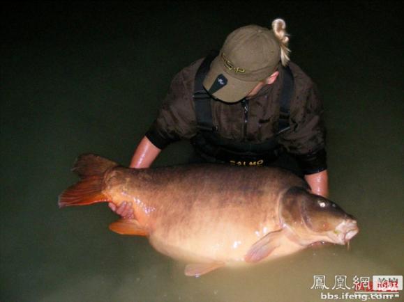 �����𾪵ľ������� �����������Ȥͼ��