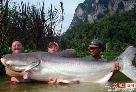 �����𾪵ľ������� �����������Ȥͼ��