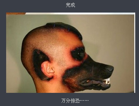 �ֲ���̬���������ݳɹ�ͷ ���˹�������ȫ����