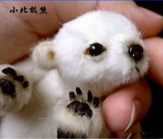 ����ոճ���ʱ������� ������𣿣�ͼ��