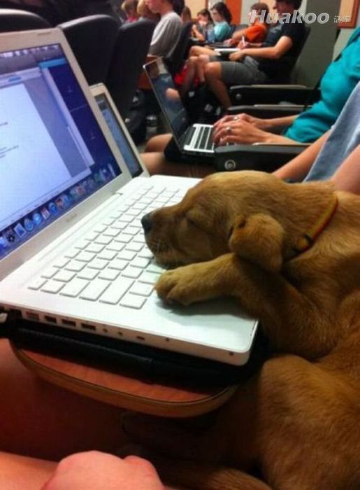 ţA��ţC֮����ˣ����ˣ�