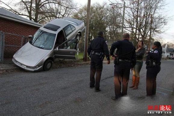 �̵㿴����Լ�е�ţ��ţͼ ��ЦͼƬ