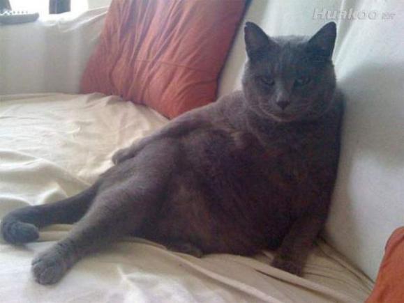 ��Ʒа��ͼ ̫���ˣ��׵���Ѫ��Ȥͼ��