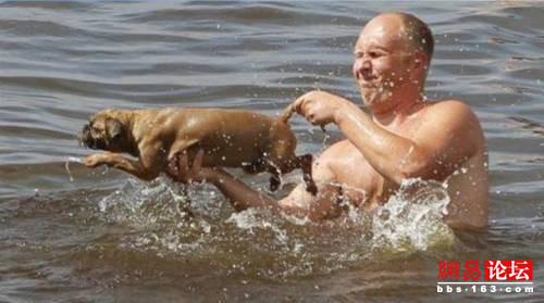 �̵㲻������ı�Ц���� ��Ц��ͼ