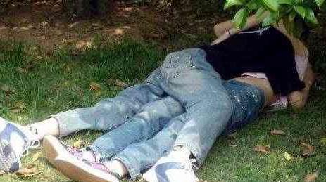 ��԰��ķ������ ͵�Ĺ�԰Ұս��ͼ��