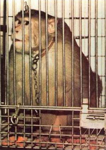 ���أ��Ҳ��̶õĶ���ʵ�����Ƭ��ͼ��