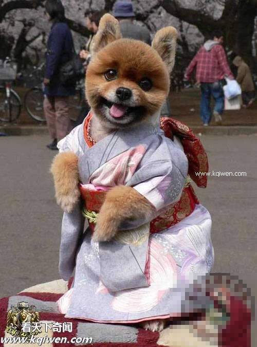 ��Ϊ���ޣ��ҵ�ѹ��Ҳ�ܴ�