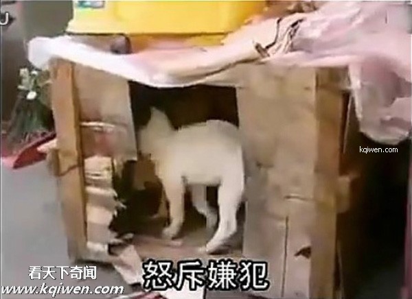 ��ɫС�������컯�����Ｆ(��ͼ)