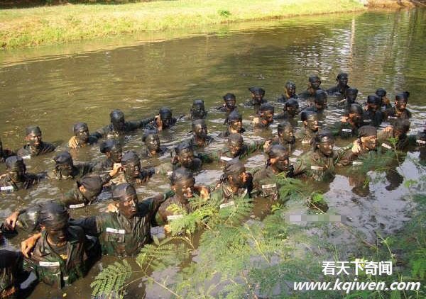 ʵ��̩���������ӵ�ħ��ѵ��ȫ���Ű�ֳ�(��ͼ)