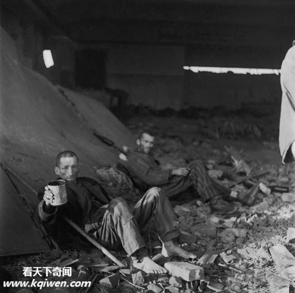 �����ɴ⼯��Ӫ��״��������ź�����ʬ��(��ͼ)